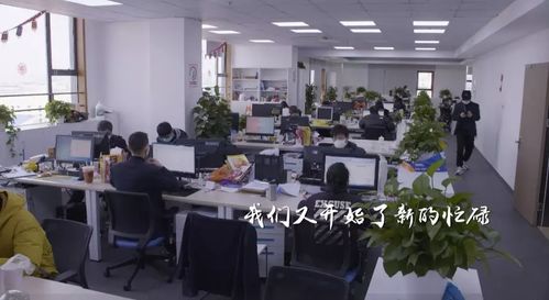 樱花与家政 重启中的上海生活图景