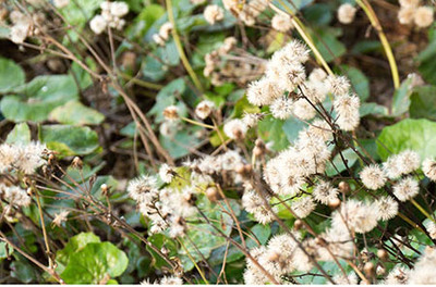 从螺丝厂到上海家政服务 跨行求职的机遇与挑战